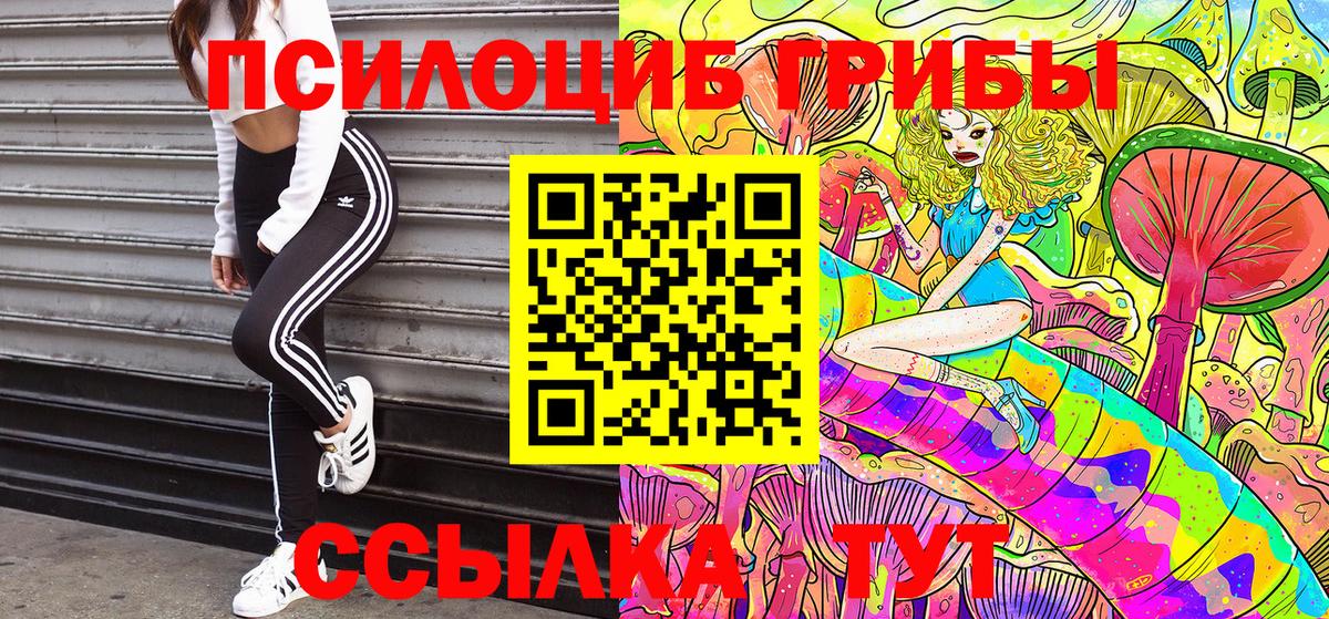 Тавда  купить наркоту  Вход с VPN  Псилоцибиновые грибы MAGIC MUSHROOMS 